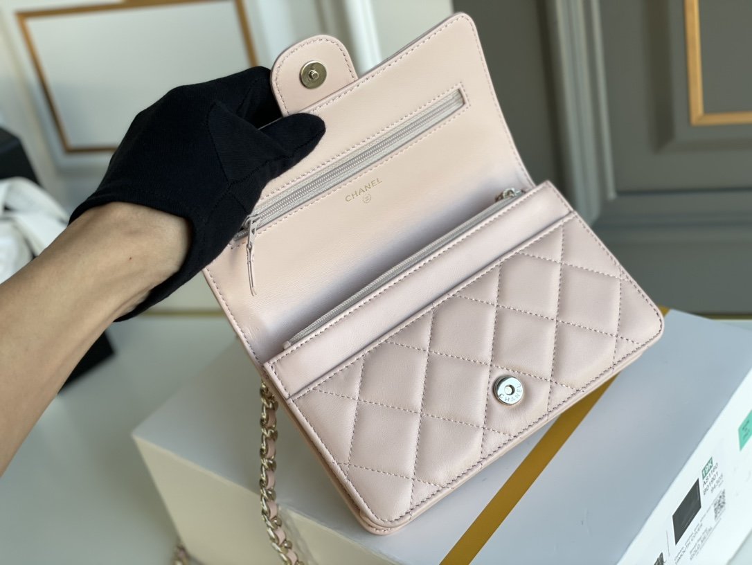 Chanel WOC Bags